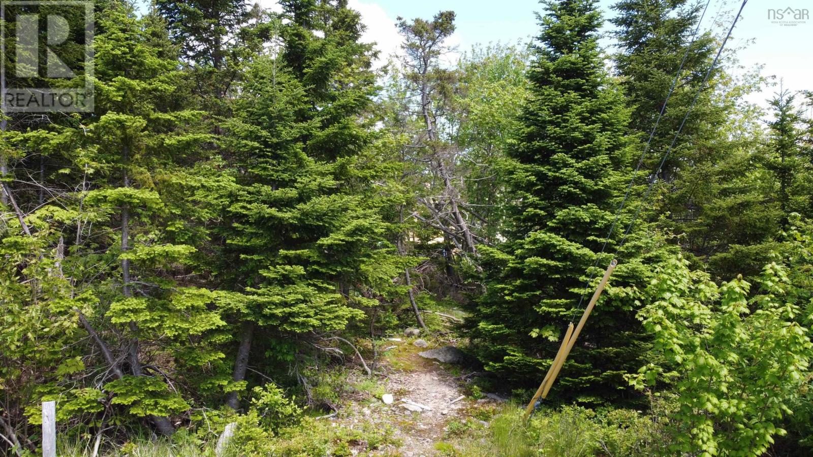 12 Dragonfly Lane, Herring Cove, Nova Scotia  B3V 0C6 - Photo 7 - 202514397