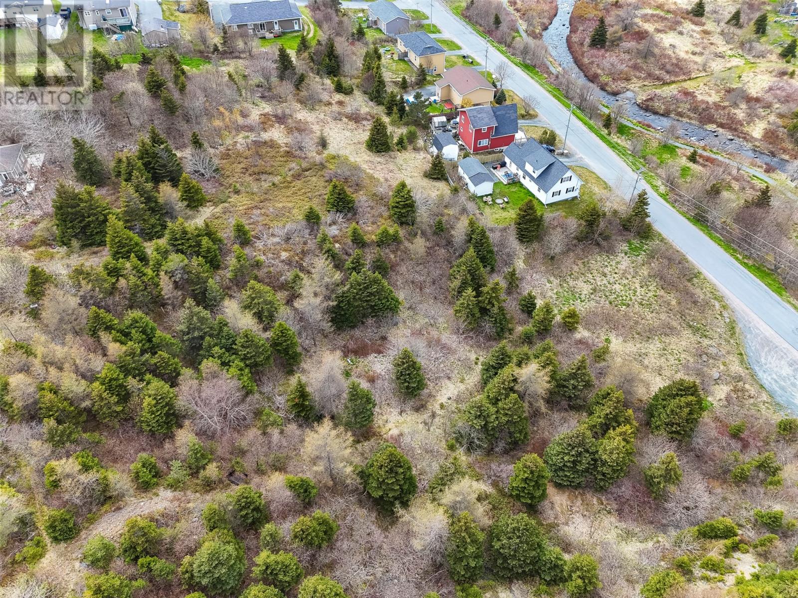 45 Pond Side, Carbonear, Newfoundland & Labrador  A1K 1G9 - Photo 13 - 1285492