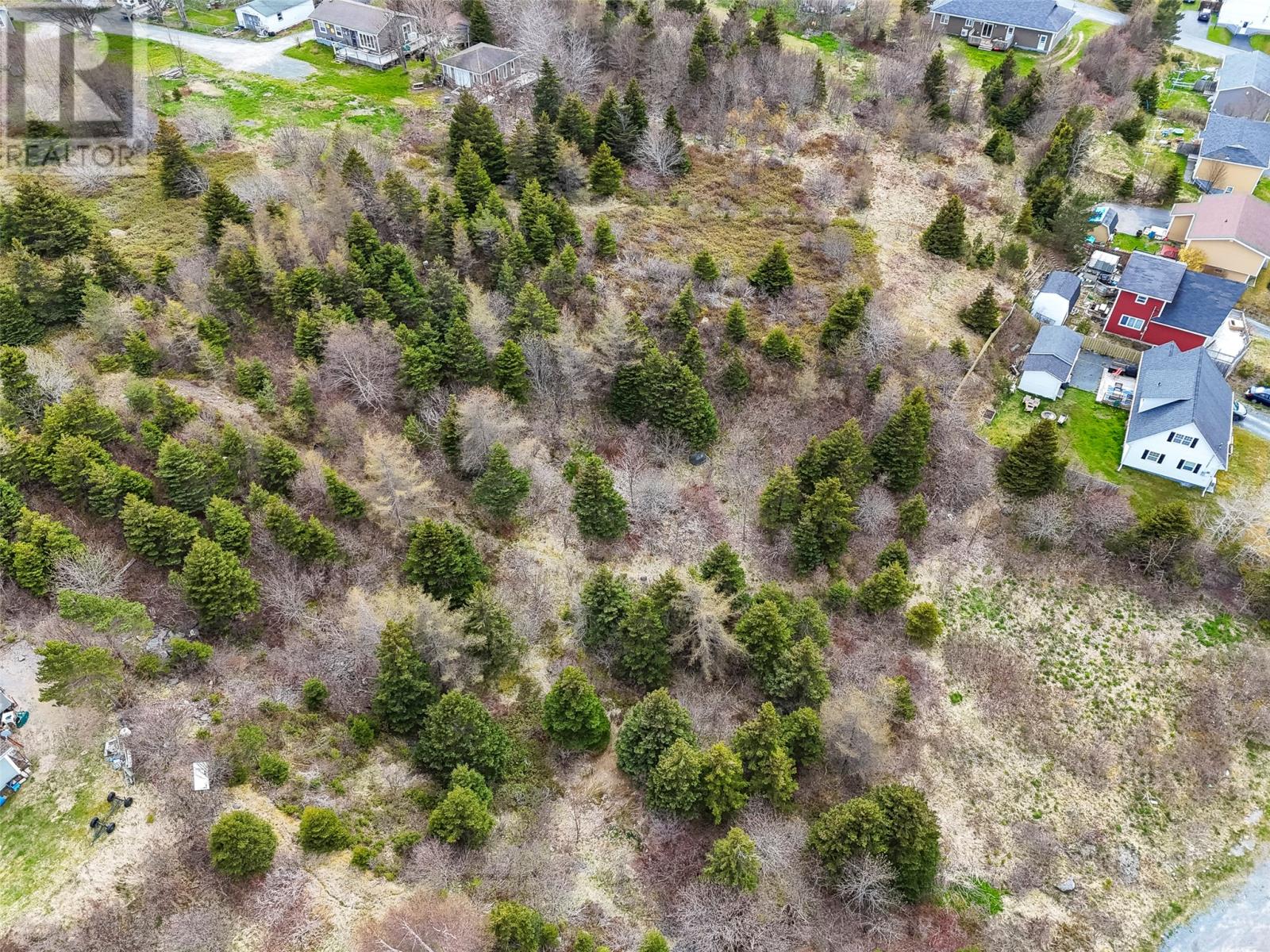 45 Pond Side, Carbonear, Newfoundland & Labrador  A1K 1G9 - Photo 14 - 1285492