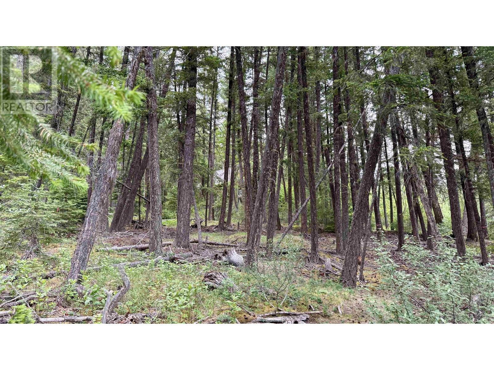 4296 Rainbow Road, Canim Lake, British Columbia  V0K 1J0 - Photo 36 - R3014745