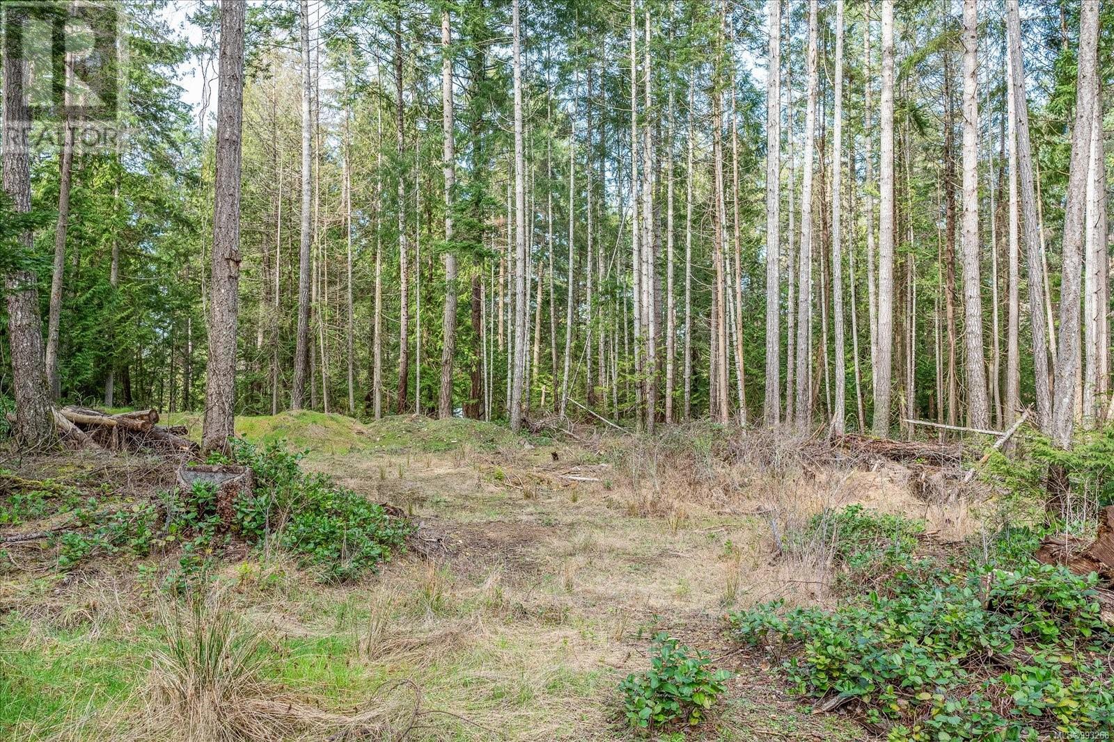 680 Clarendon Rd, Gabriola Island, British Columbia  V0R 1X1 - Photo 9 - 993268