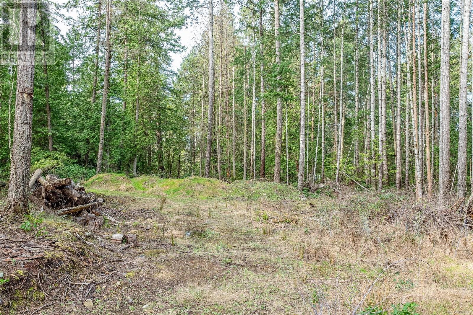 680 Clarendon Rd, Gabriola Island, British Columbia  V0R 1X1 - Photo 10 - 993268