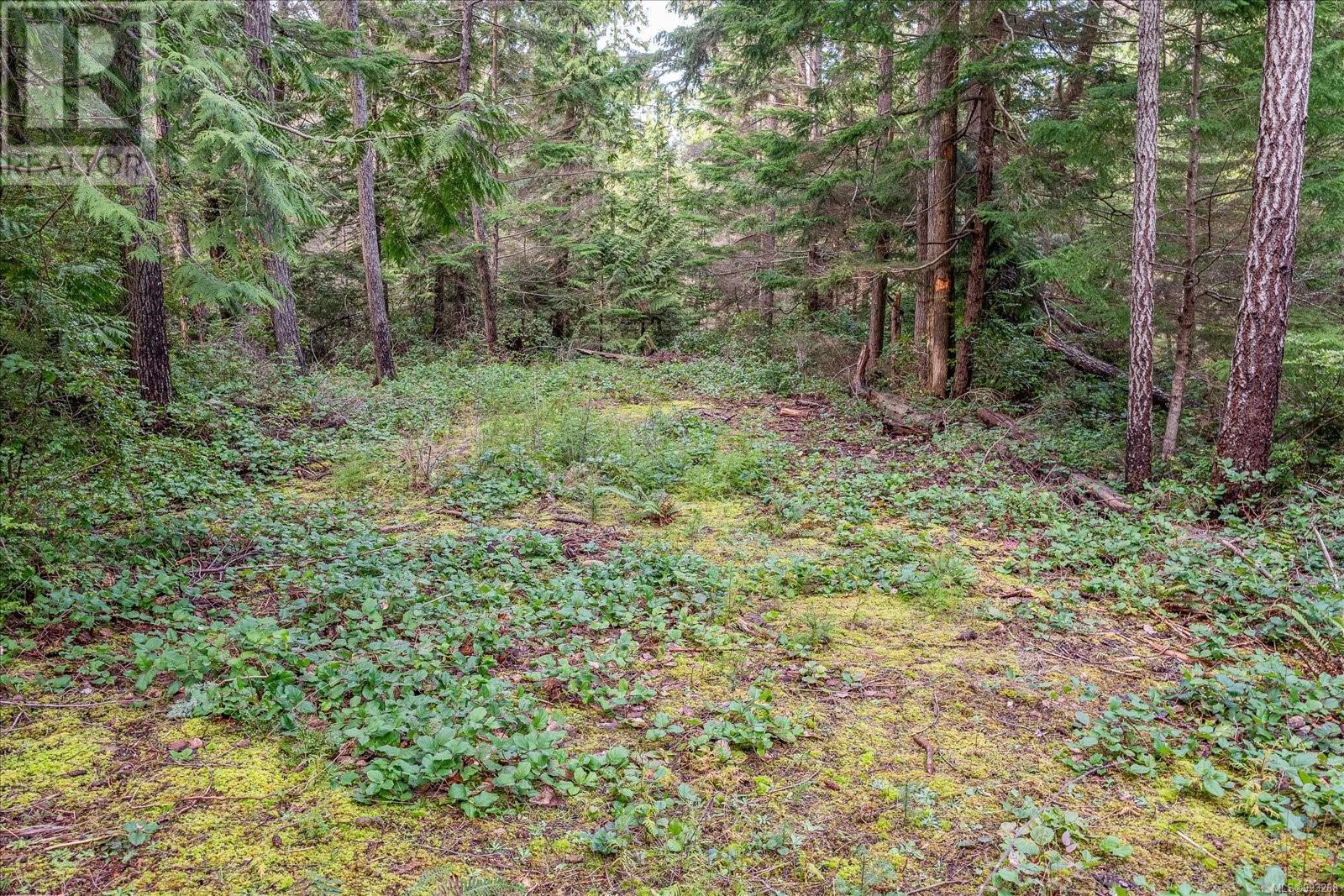 680 Clarendon Rd, Gabriola Island, British Columbia  V0R 1X1 - Photo 8 - 993268