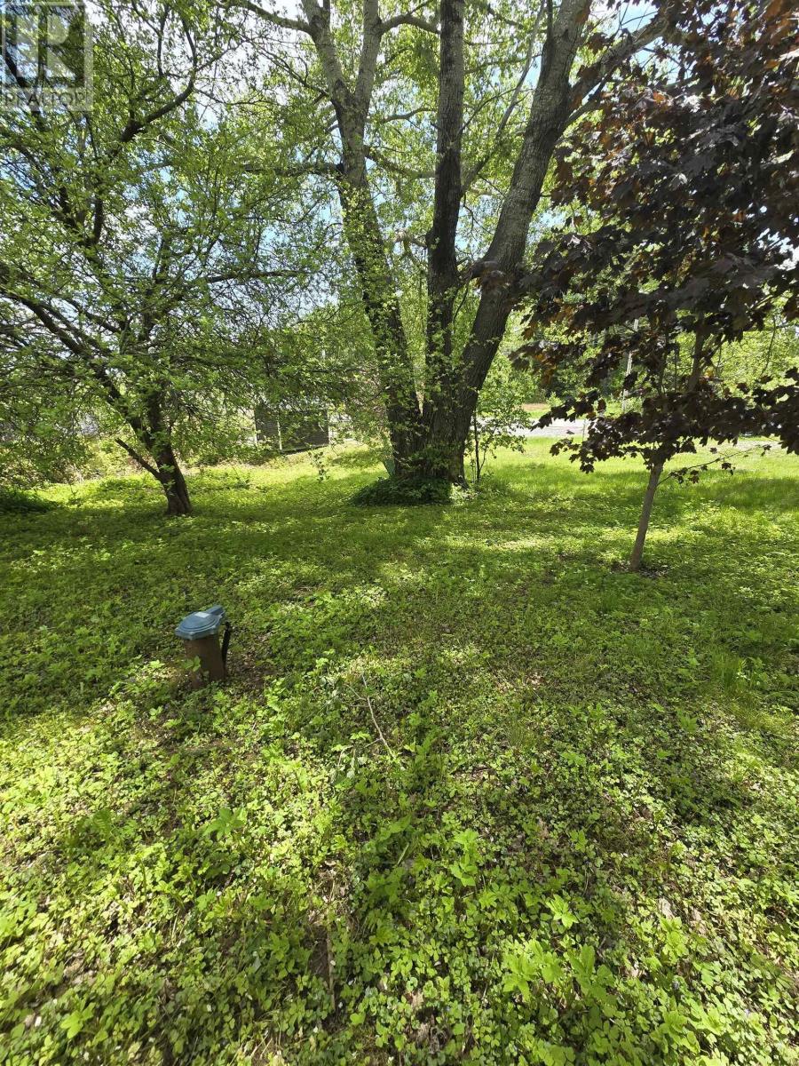 40 Broad St, Guysborough, Nova Scotia  B0H 1N0 - Photo 7 - 202513448