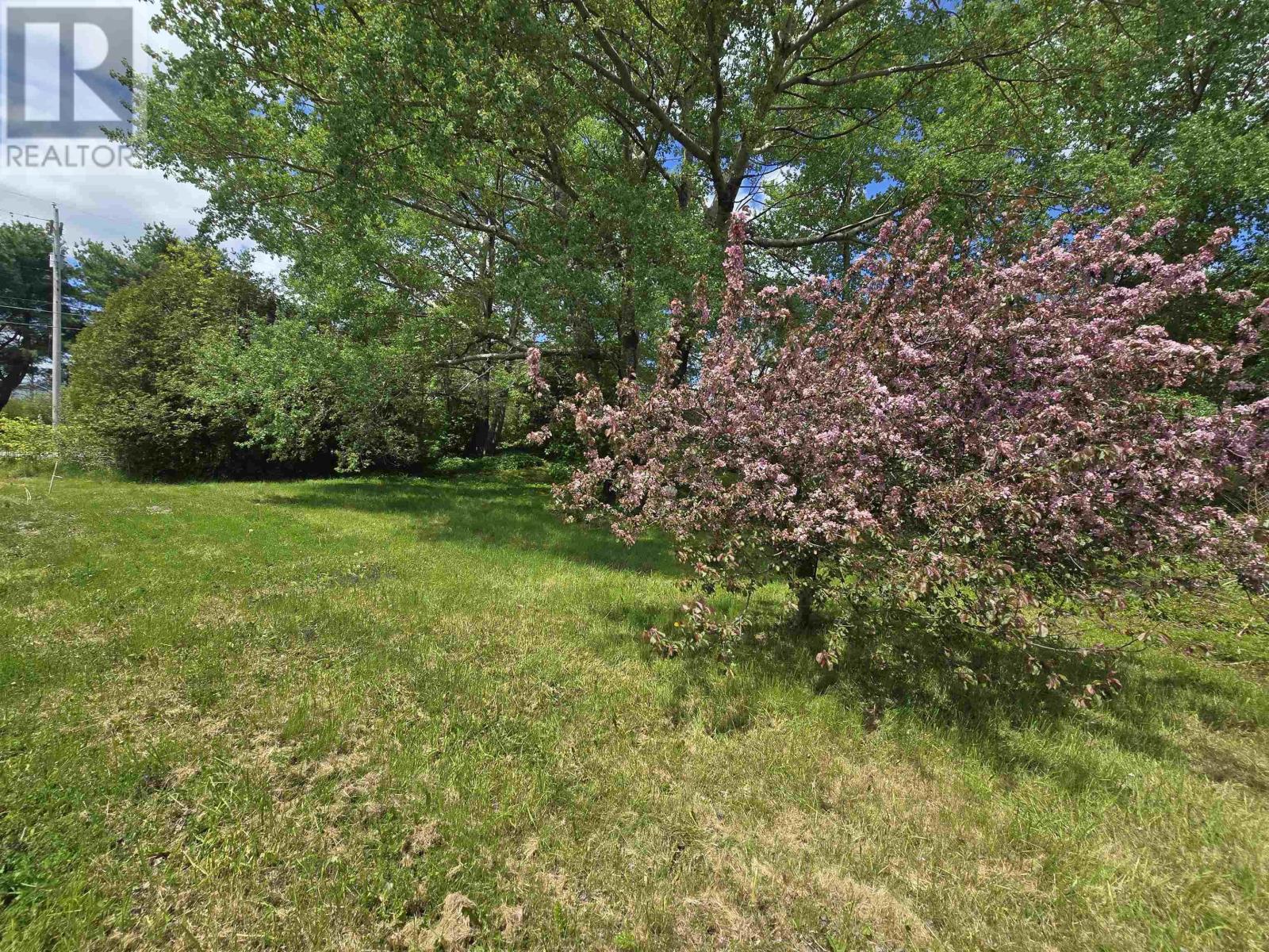 40 Broad St, Guysborough, Nova Scotia  B0H 1N0 - Photo 2 - 202513448