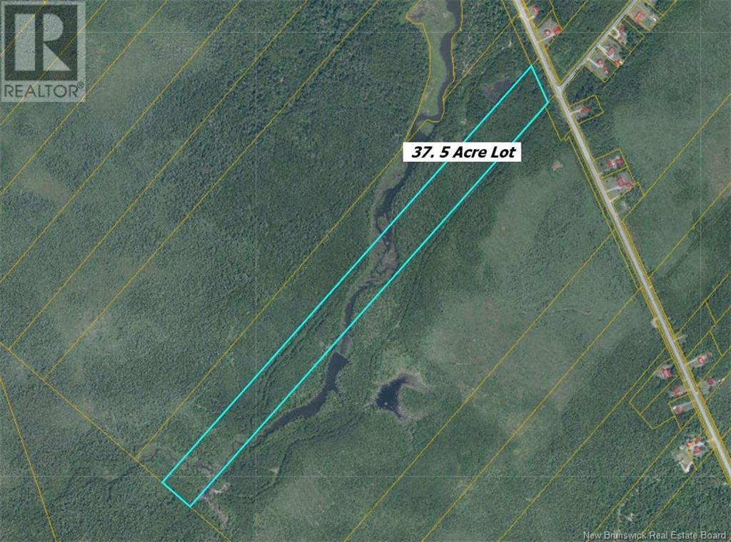 Lot Rte 117, Hardwicke, New Brunswick  E9A 1J9 - Photo 8 - NB120696