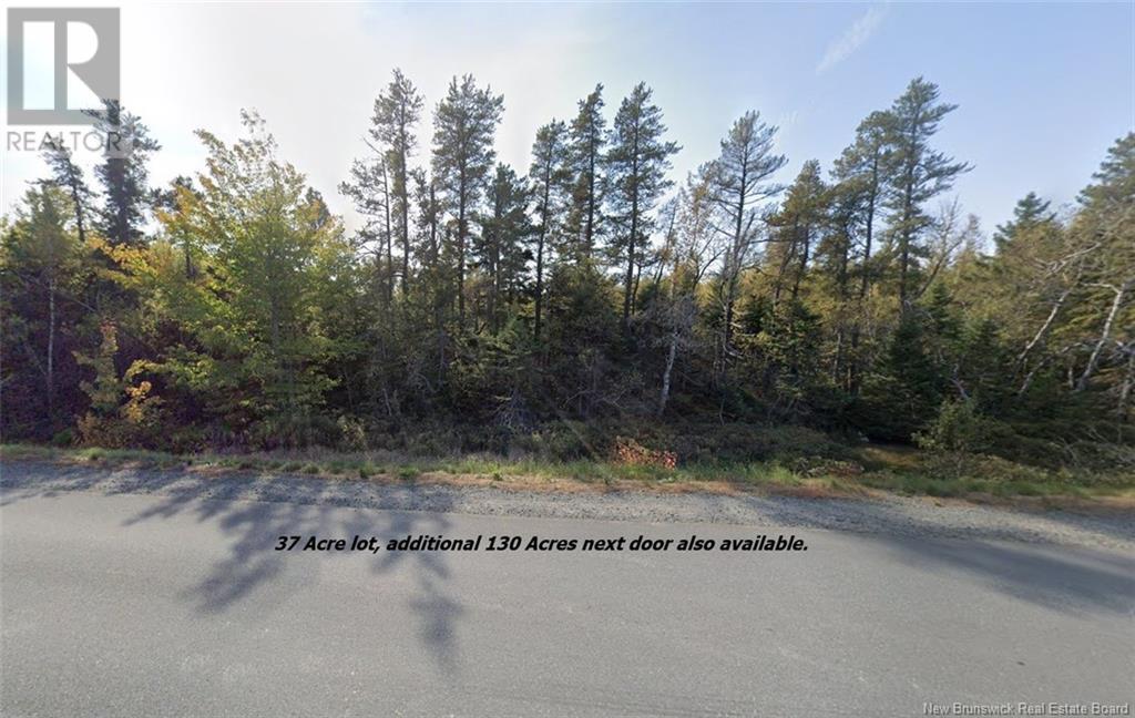 Lot Rte 117 Hardwicke, hardwicke, New Brunswick