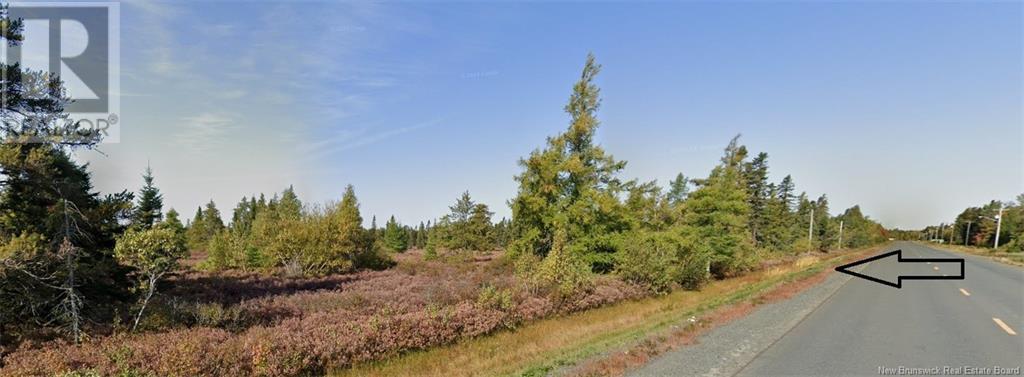 Lot Rte 117 Hardwicke, Hardwicke, New Brunswick  E9A 1J9 - Photo 6 - NB120701