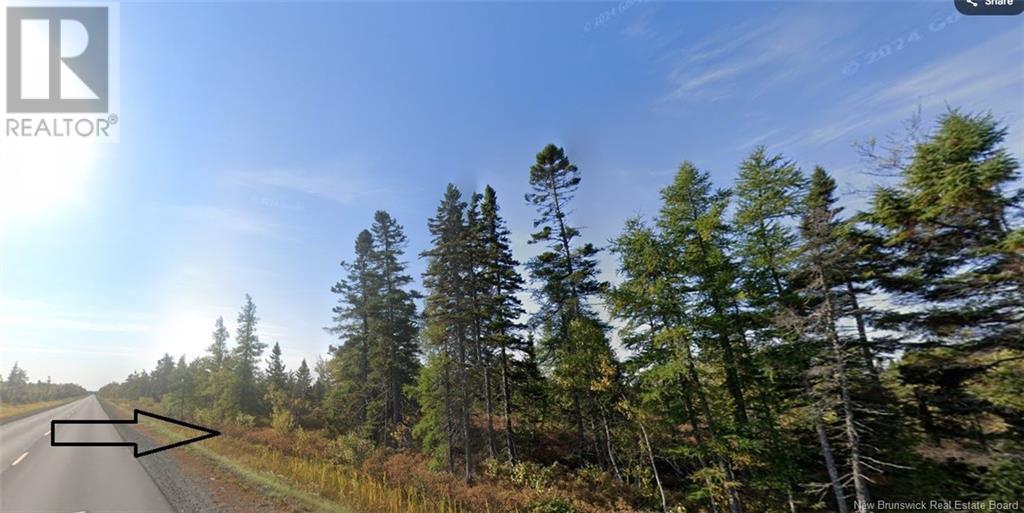 Lot Rte 117 Hardwicke, Hardwicke, New Brunswick  E9A 1J9 - Photo 8 - NB120701