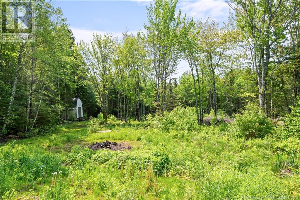 Lot Girouardville, Bouctouche, New Brunswick  E4S 3G9 - Photo 3 - NB120624