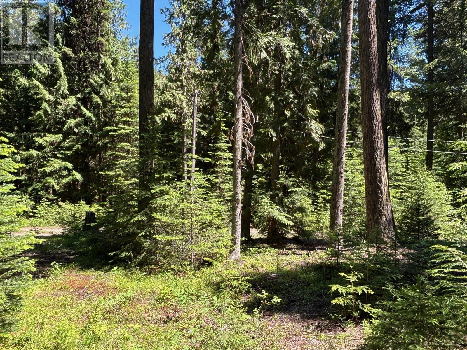 2832 Jewel Lake Road, Greenwood, British Columbia  V0H 1J0 - Photo 30 - 10351944