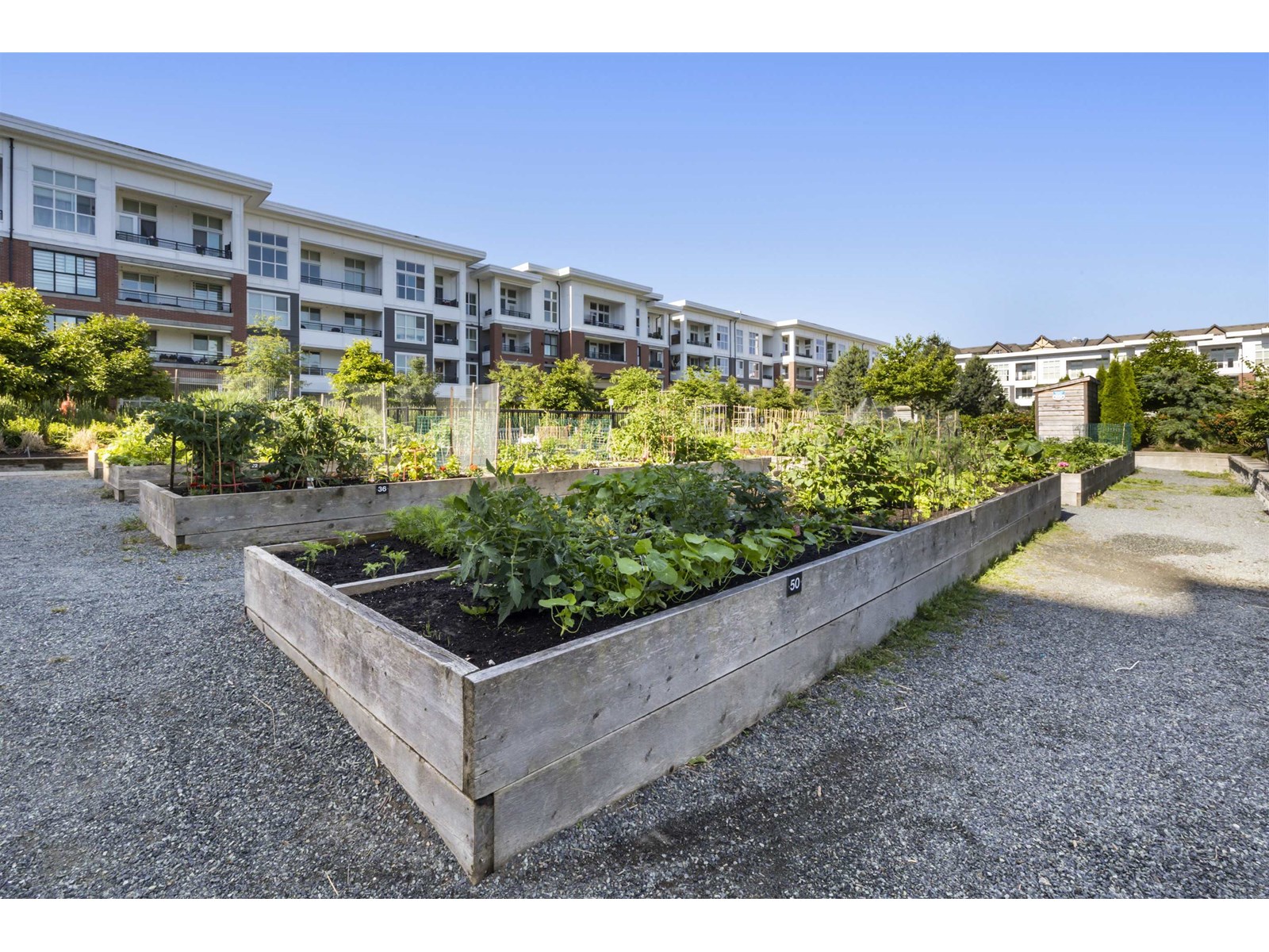 B201 8150 207 Street, Langley, British Columbia  V2Y 4J3 - Photo 22 - R3014425