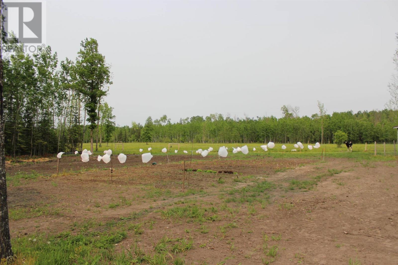 8156 Hwy 602, Emo, Ontario  P0W 1E0 - Photo 11 - TB251580