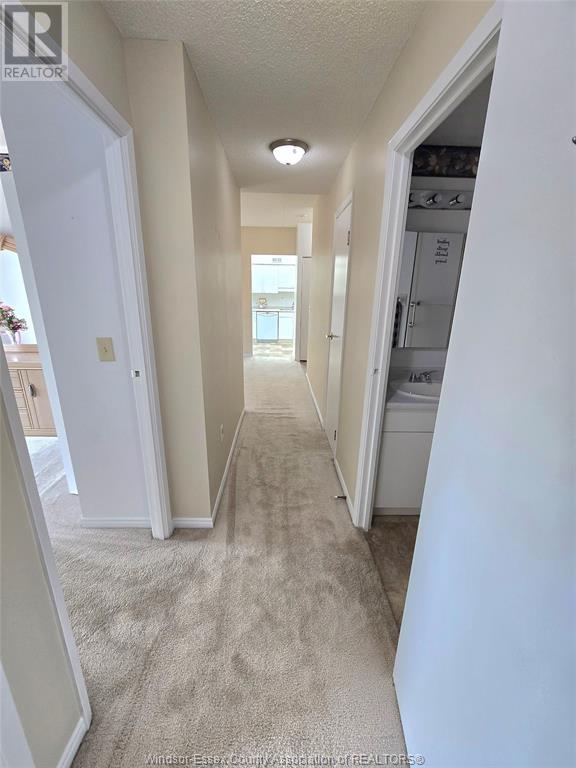 3795 Southwinds Drive Unit# 205, Windsor, Ontario  N9G 2N7 - Photo 25 - 25012742