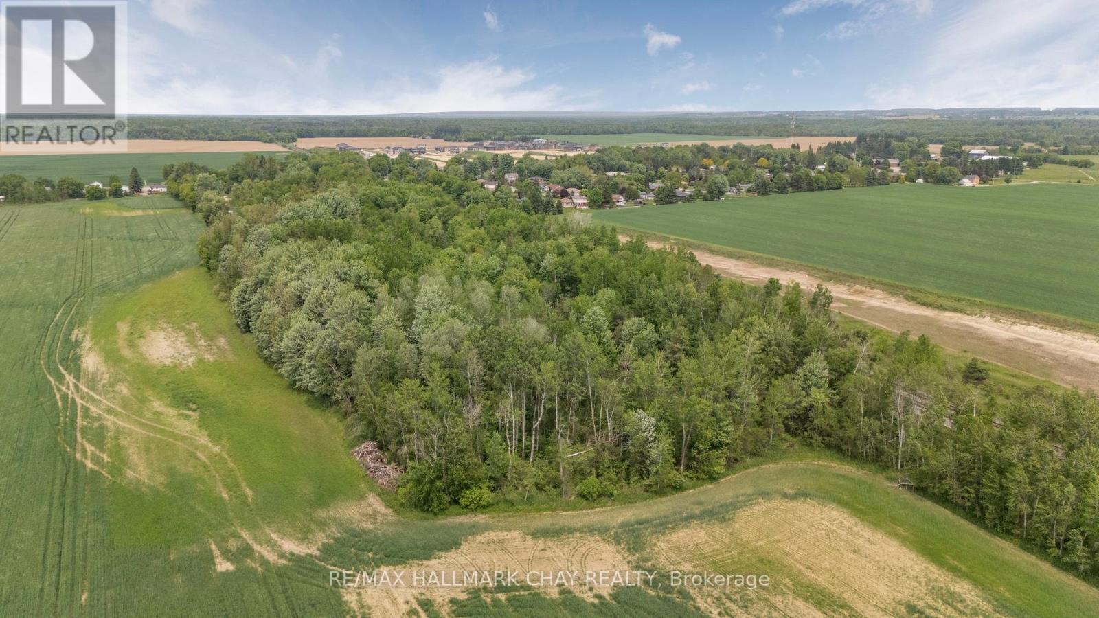 147 Murphy Road, Essa (Baxter), Ontario  L0M 1B1 - Photo 8 - N12215017