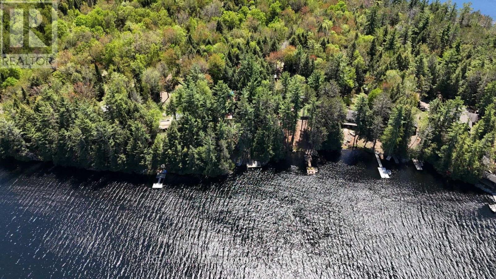 1132 Sapphire (Koshlong Lake) Drive, Highlands East, Ontario  K0M 1S0 - Photo 39 - X12163800