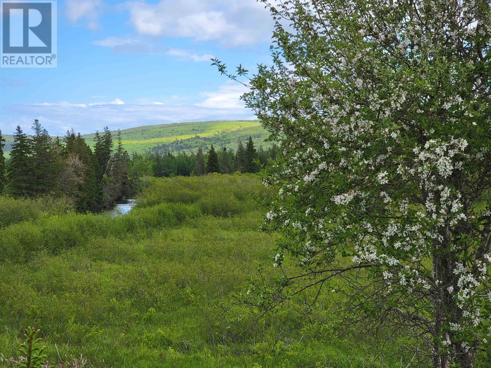 Barren Road, River Denys, Nova Scotia  B0E 2Y0 - Photo 4 - 202504558