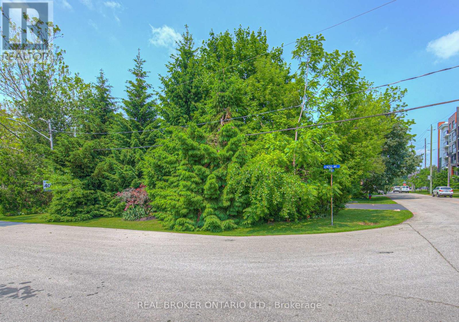 976 Filmandale Road, Burlington, Ontario  L7T 2Z4 - Photo 6 - W12216295