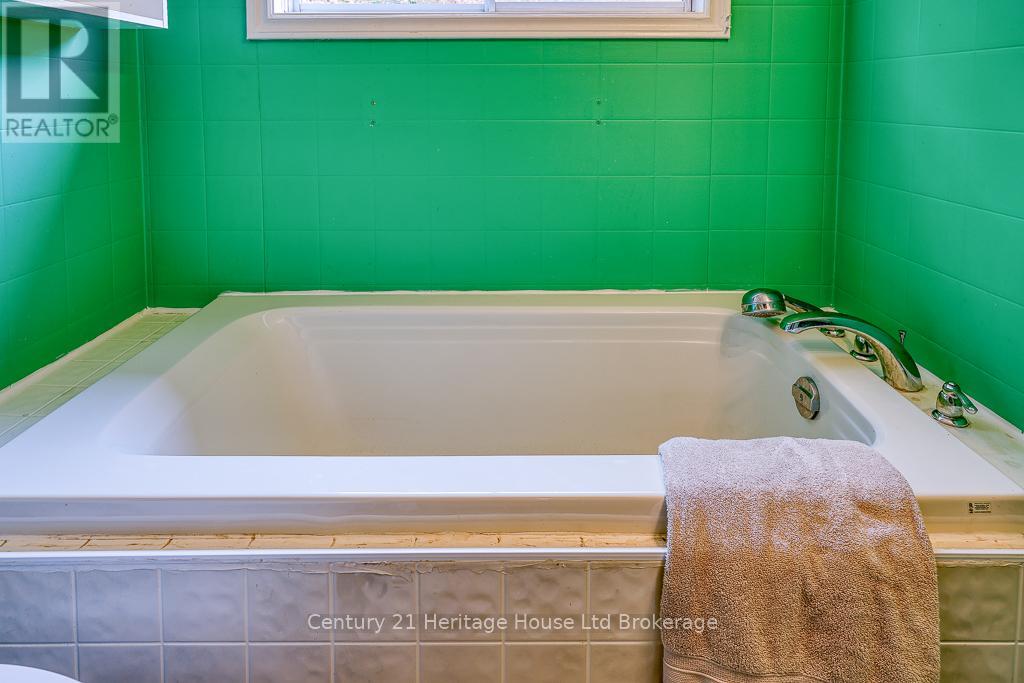 113 Light Street, Woodstock, Ontario  N4S 6H2 - Photo 25 - X12216262