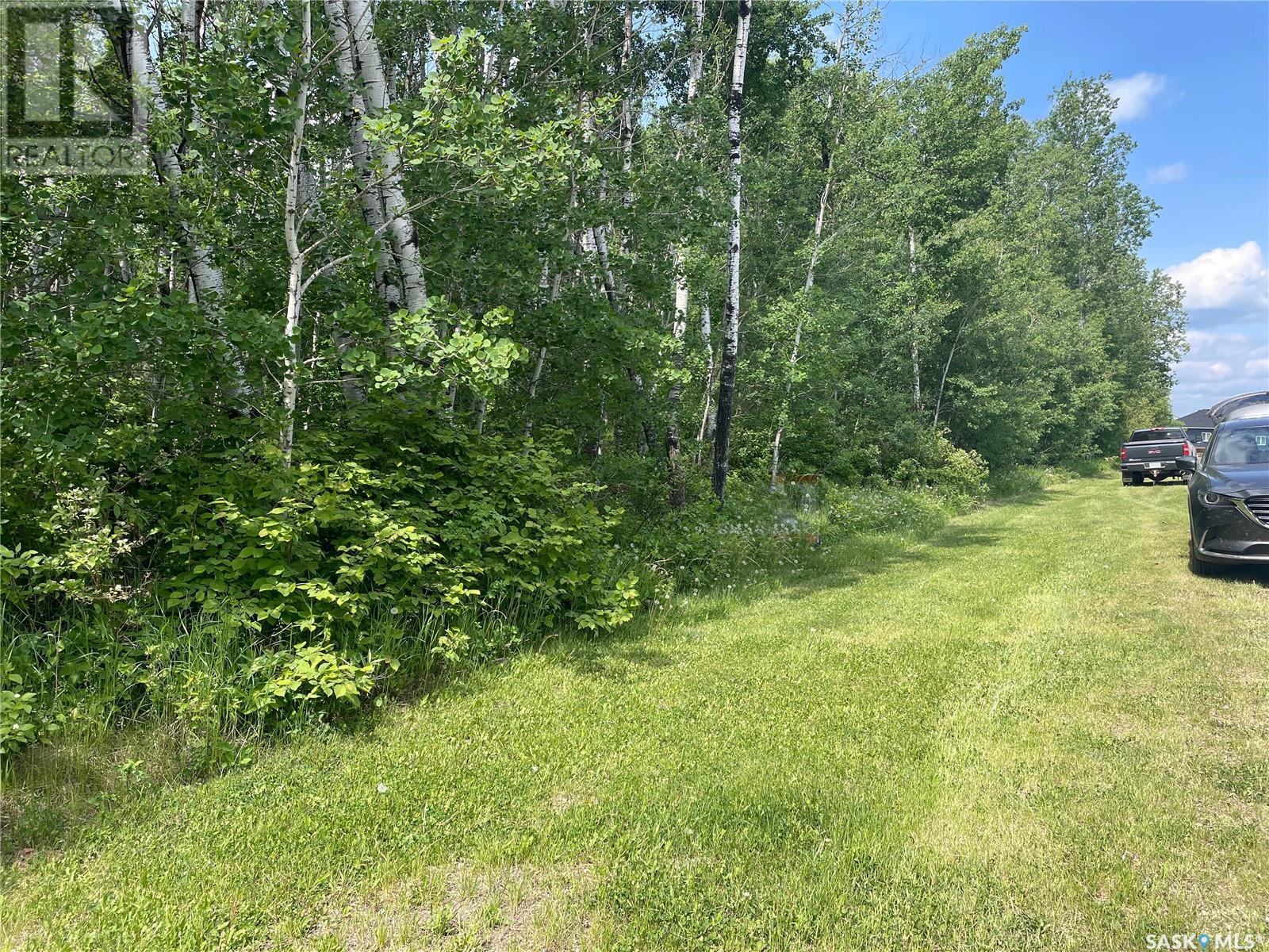 8 Fresno STREET, big river rm no. 555, Saskatchewan