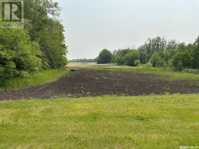 Chernoff Acreage, Veregin, Saskatchewan  S0A 4H0 - Photo 31 - SK009259