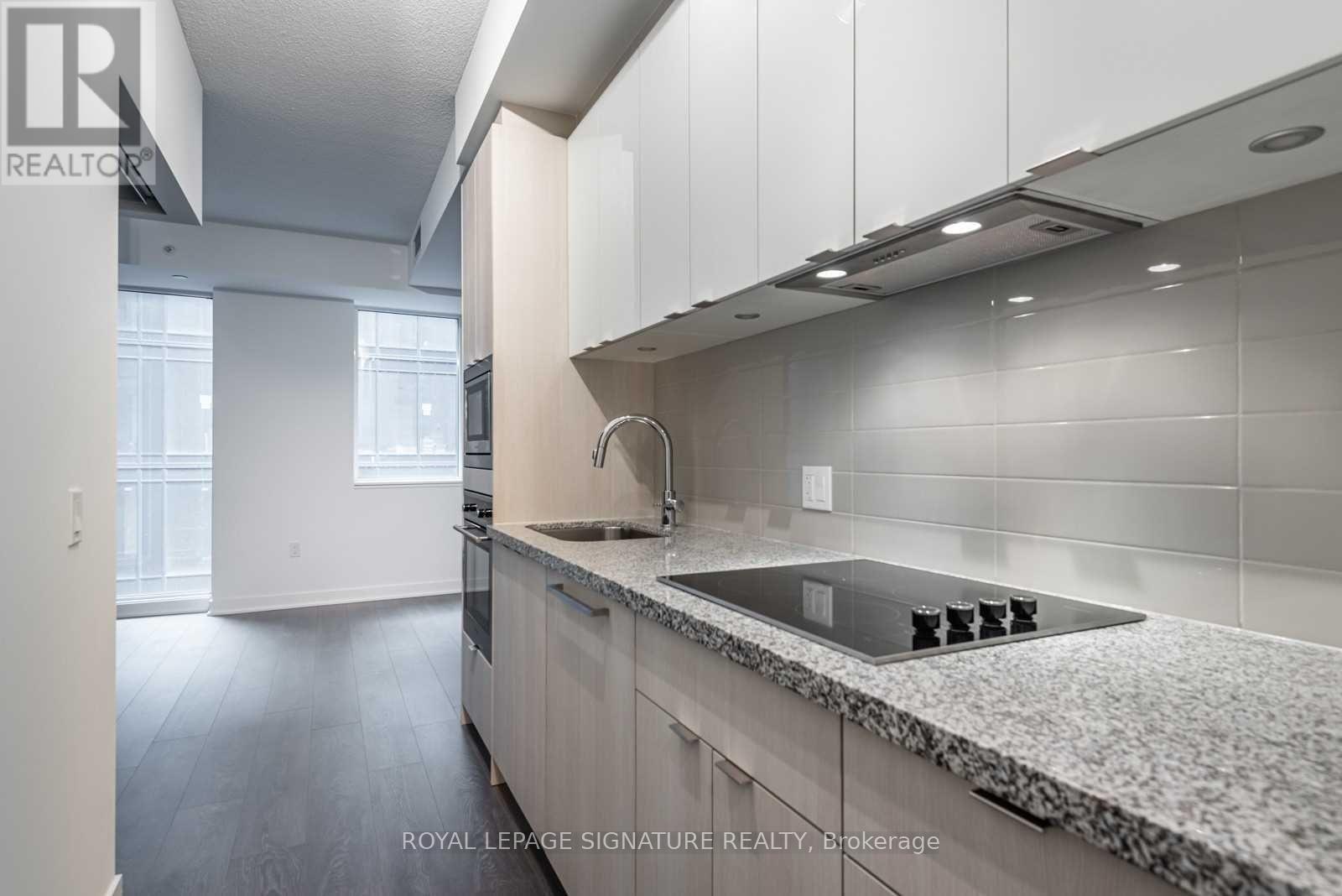 703 - 115 Blue Jays Way, Toronto (Waterfront Communities), Ontario  M5V 3T3 - Photo 2 - C12216319