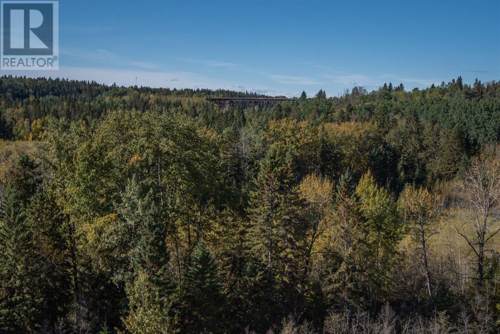 148, 27111 597 Highway, Rural Lacombe County, Alberta  T0M 0J0 - Photo 12 - A2229964