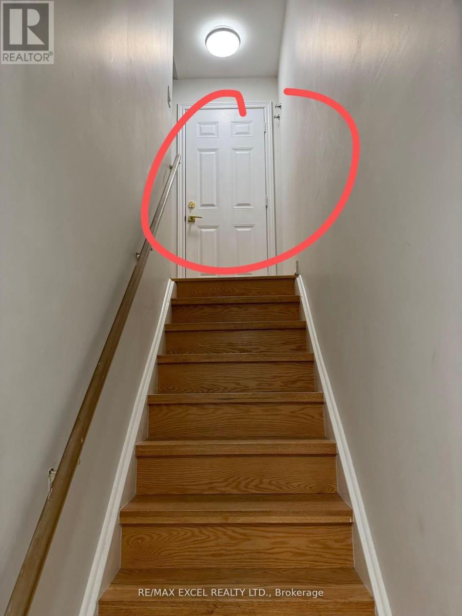 Bsmt - 16 Maroon Drive, Richmond Hill (Oak Ridges Lake Wilcox), Ontario  L4E 5B4 - Photo 8 - N12216300