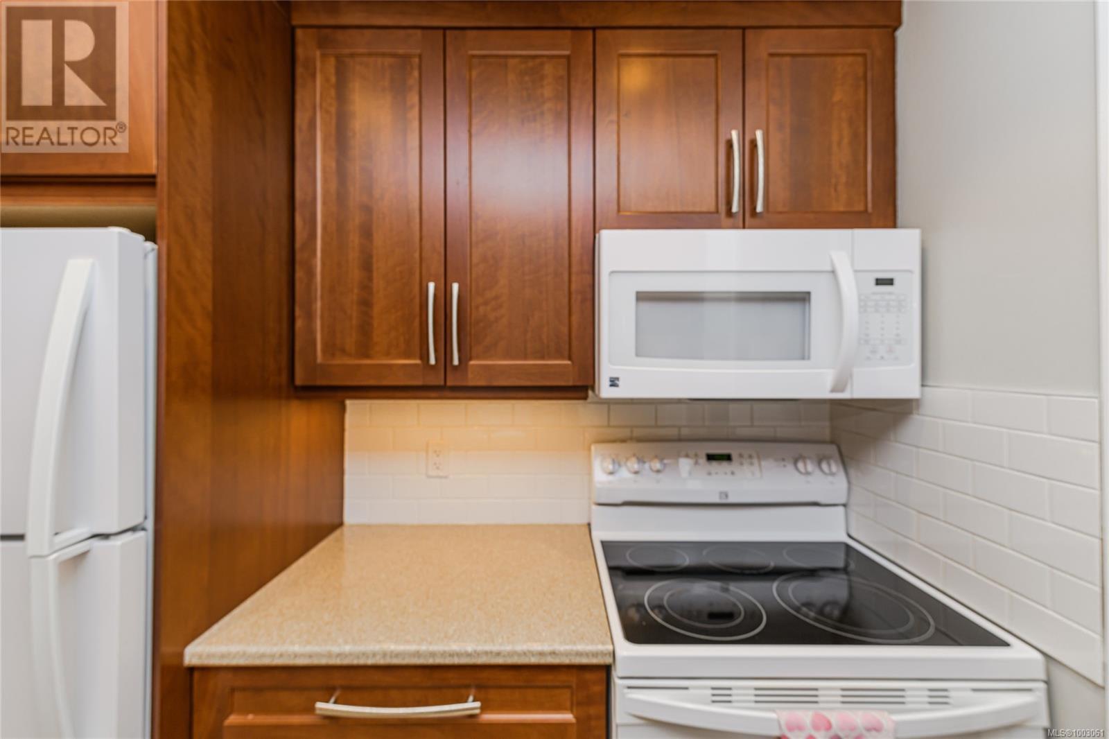 107 1012 Pakington St, Victoria, British Columbia  V8V 3A1 - Photo 11 - 1003061