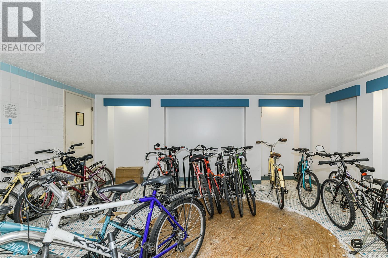 107 1012 Pakington St, Victoria, British Columbia  V8V 3A1 - Photo 29 - 1003061