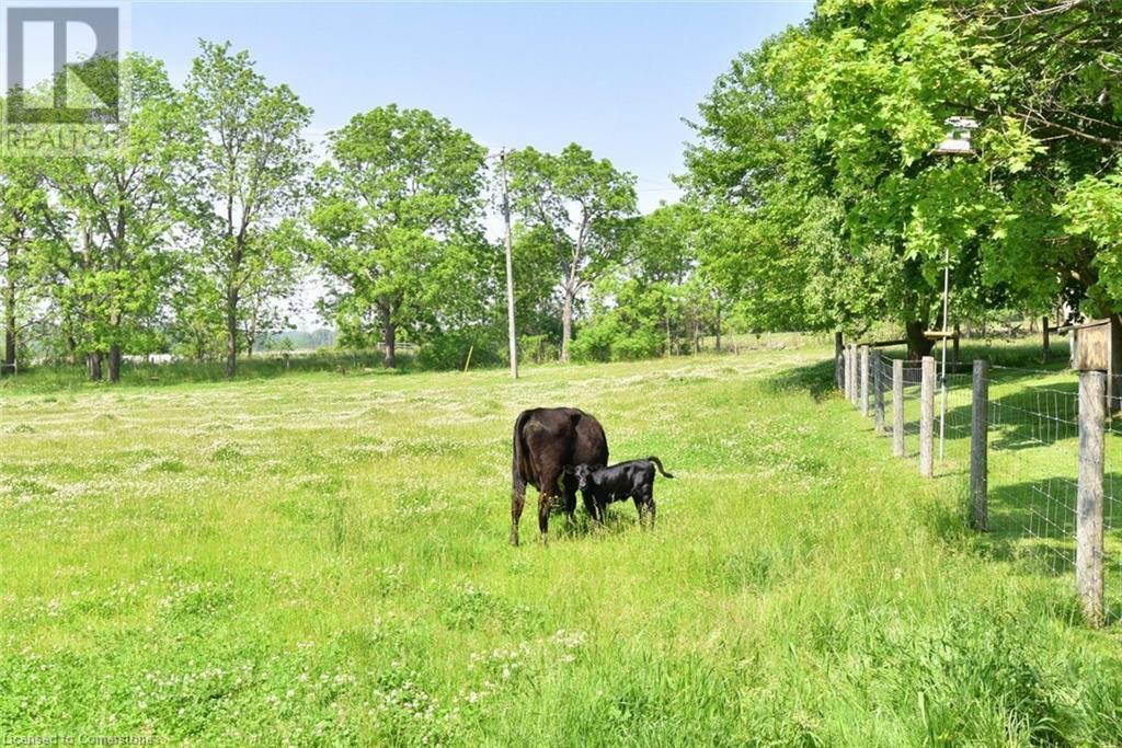1344 Highway 8, Flamborough, Ontario  N1R 5S2 - Photo 43 - 40739585