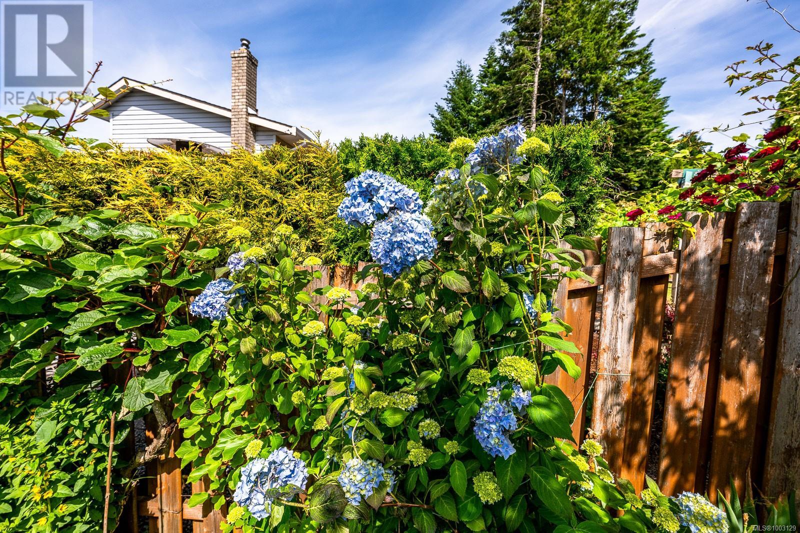 1000 Thorpe Ave, Courtenay, British Columbia  V9N 8C9 - Photo 68 - 1003129