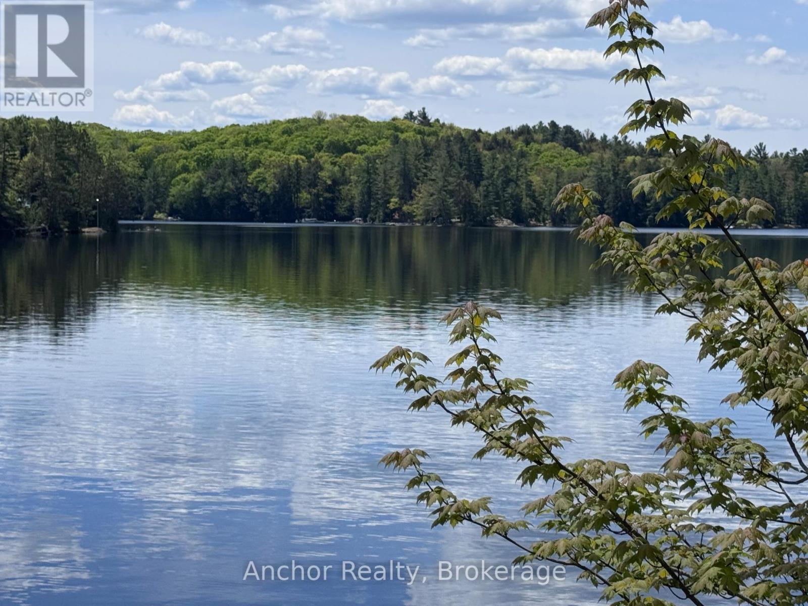 52935 Big Hawk North Shore, Algonquin Highlands, Ontario  K0M 1S0 - Photo 6 - X12208063