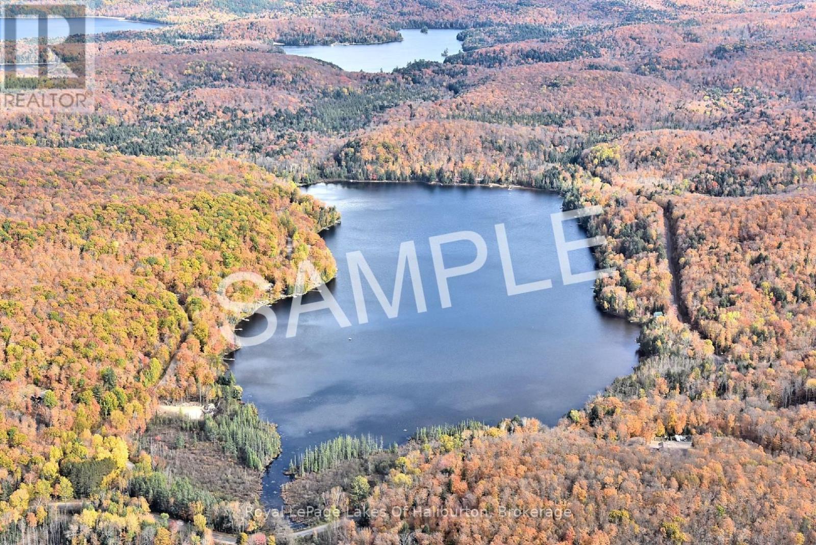 1248 Portage Road, Dysart Et Al, Ontario  K0M 1S0 - Photo 48 - X12215977