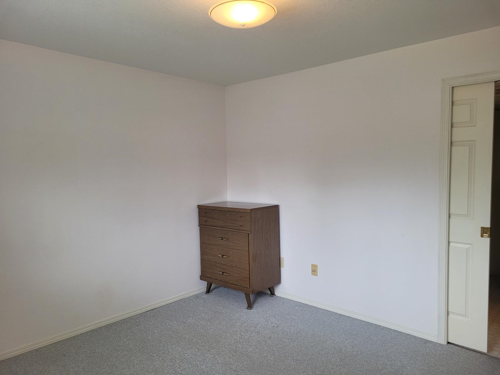 3015 Cassiar Avenue, Abbotsford, British Columbia  V2S 6B7 - Photo 20 - R3014585
