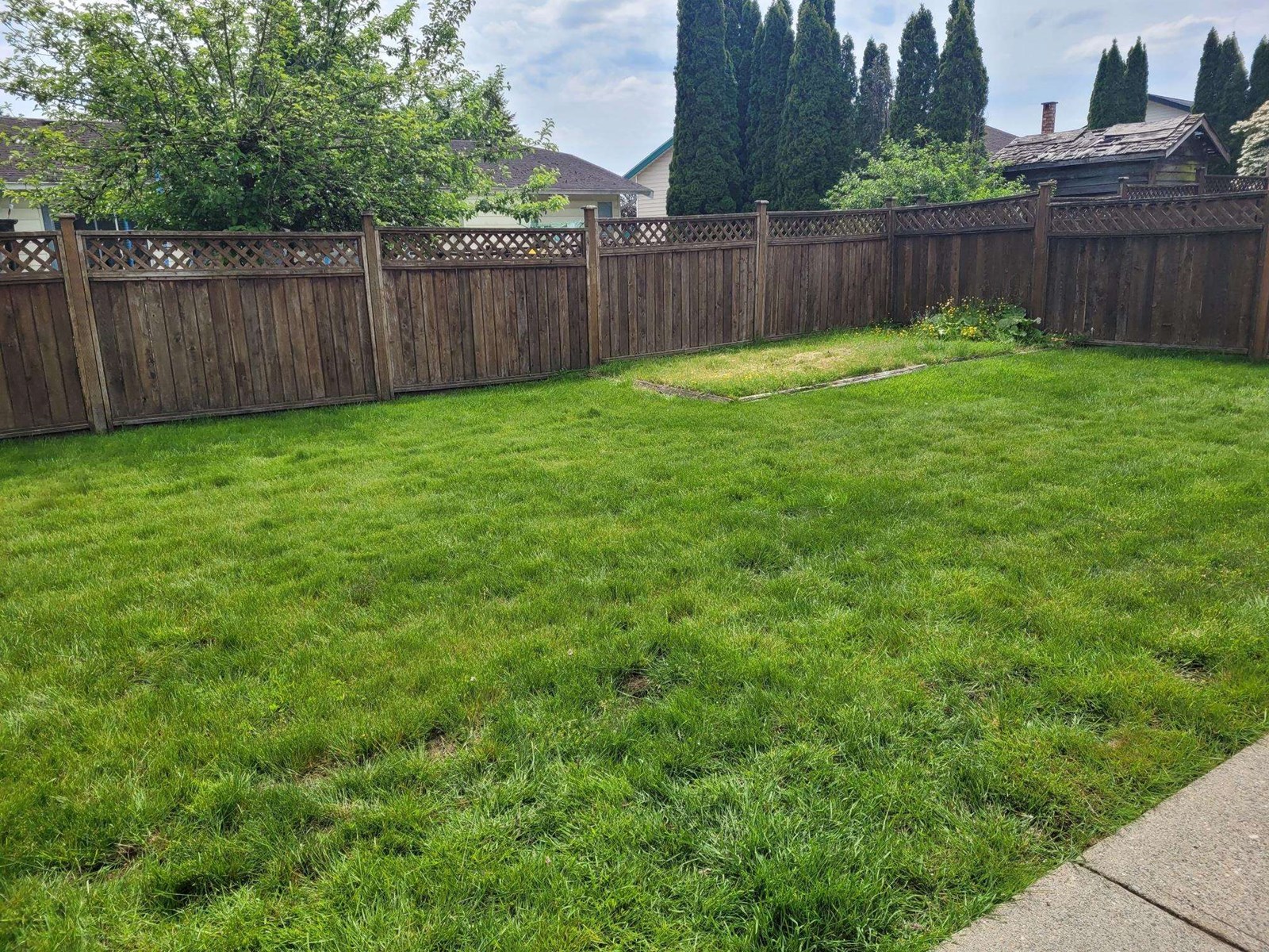3015 Cassiar Avenue, Abbotsford, British Columbia  V2S 6B7 - Photo 27 - R3014585
