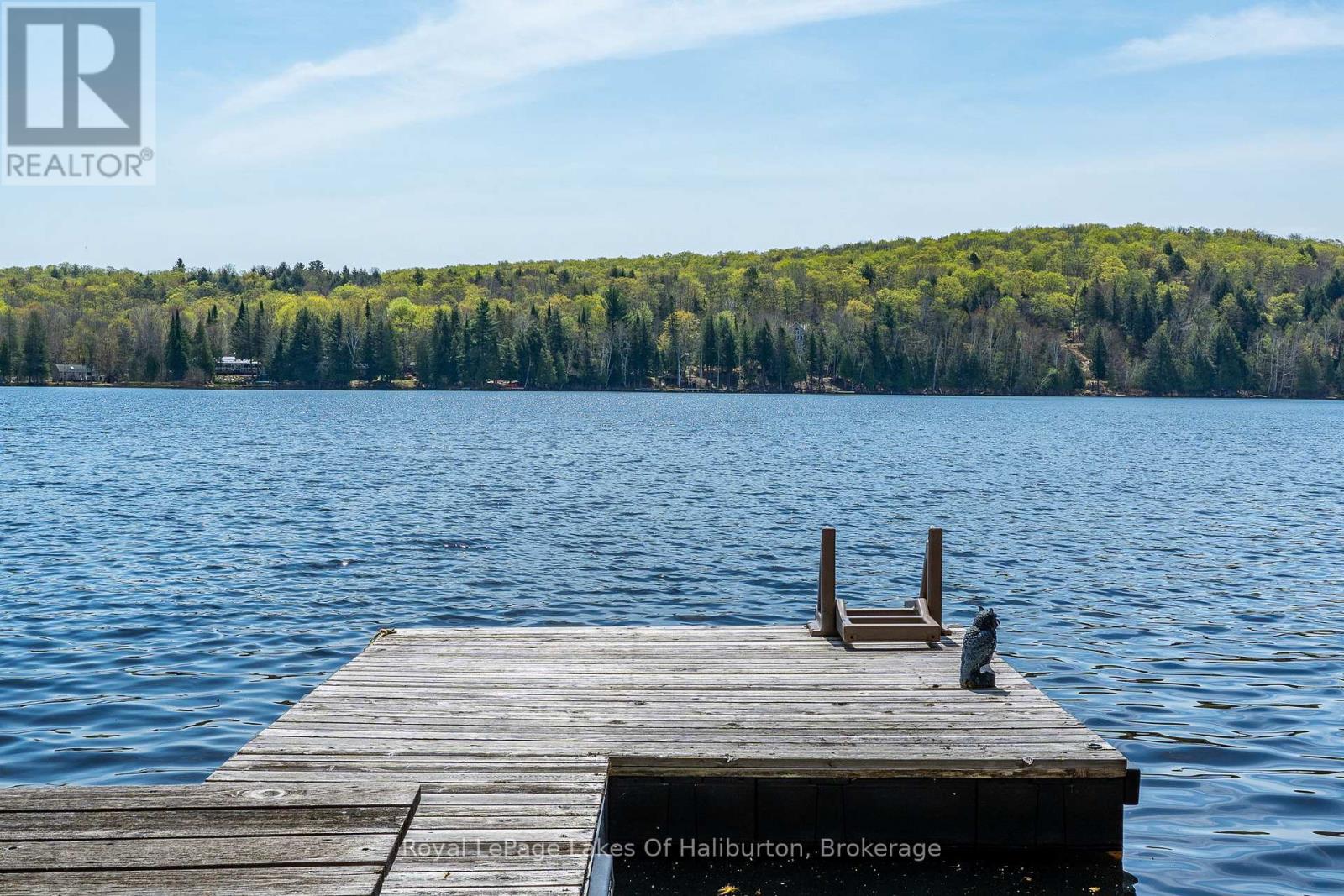 1248 Portage Road, Dysart Et Al, Ontario  K0M 1S0 - Photo 3 - X12215977
