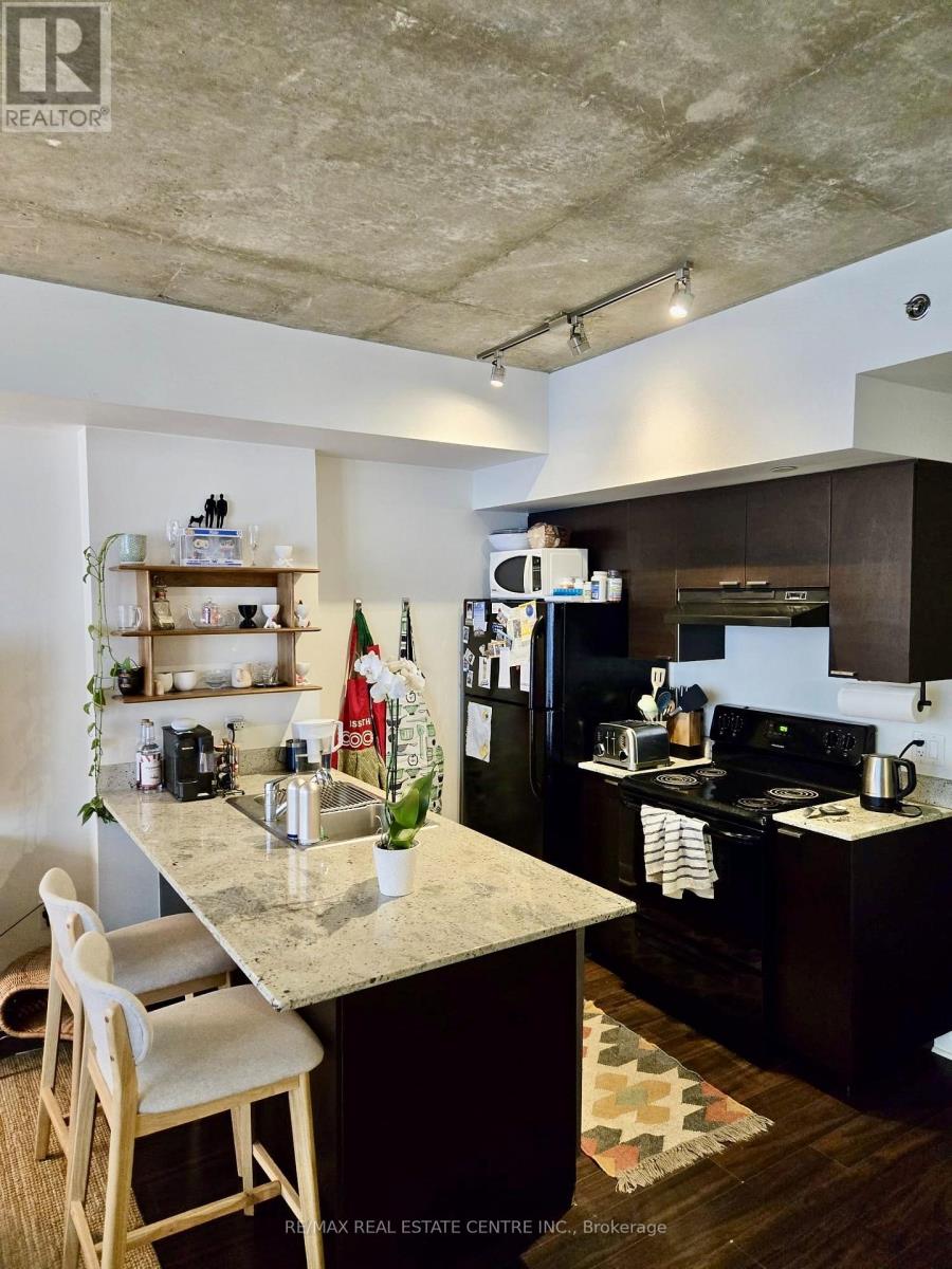 2106 - 375 King Street, Toronto (Waterfront Communities), Ontario  M5V 1K5 - Photo 10 - C12216249