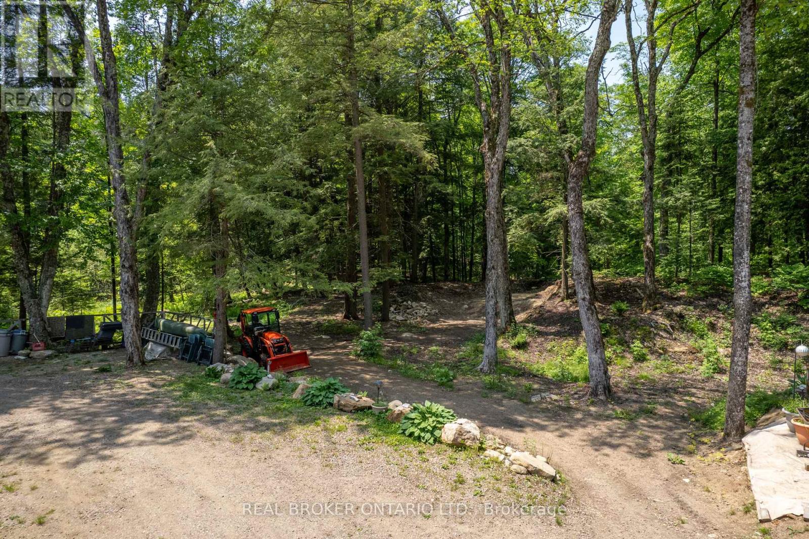 1565 Ursa Road, Highlands East (Glamorgan), Ontario  K0M 1R0 - Photo 11 - X12215979
