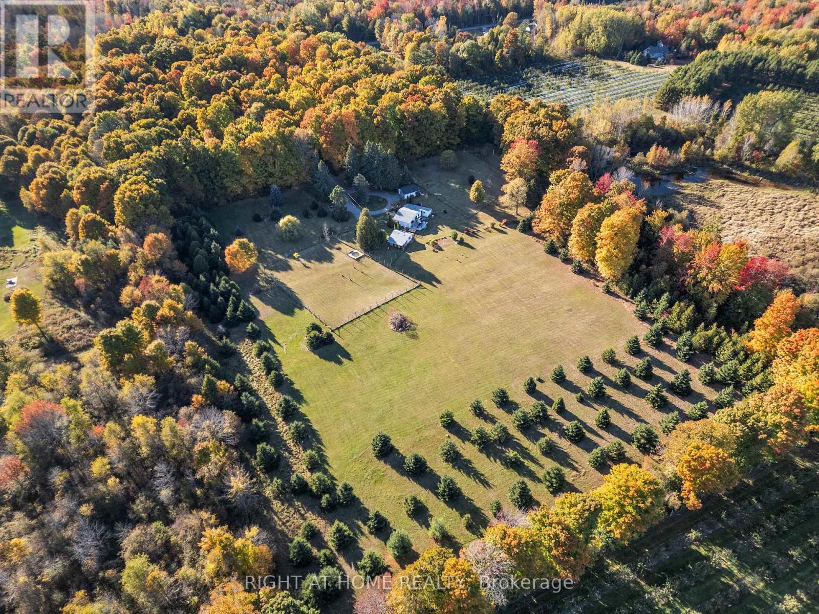 203 Barnes Road, Brighton, Ontario  K0K 1H0 - Photo 46 - X12216110