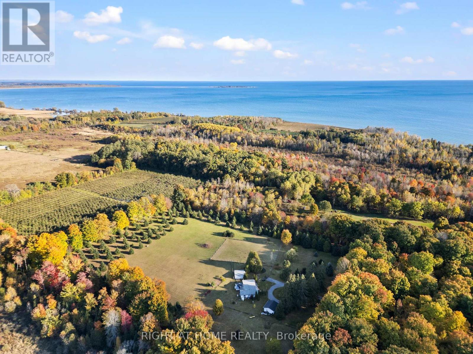 203 Barnes Road, Brighton, Ontario  K0K 1H0 - Photo 49 - X12216110