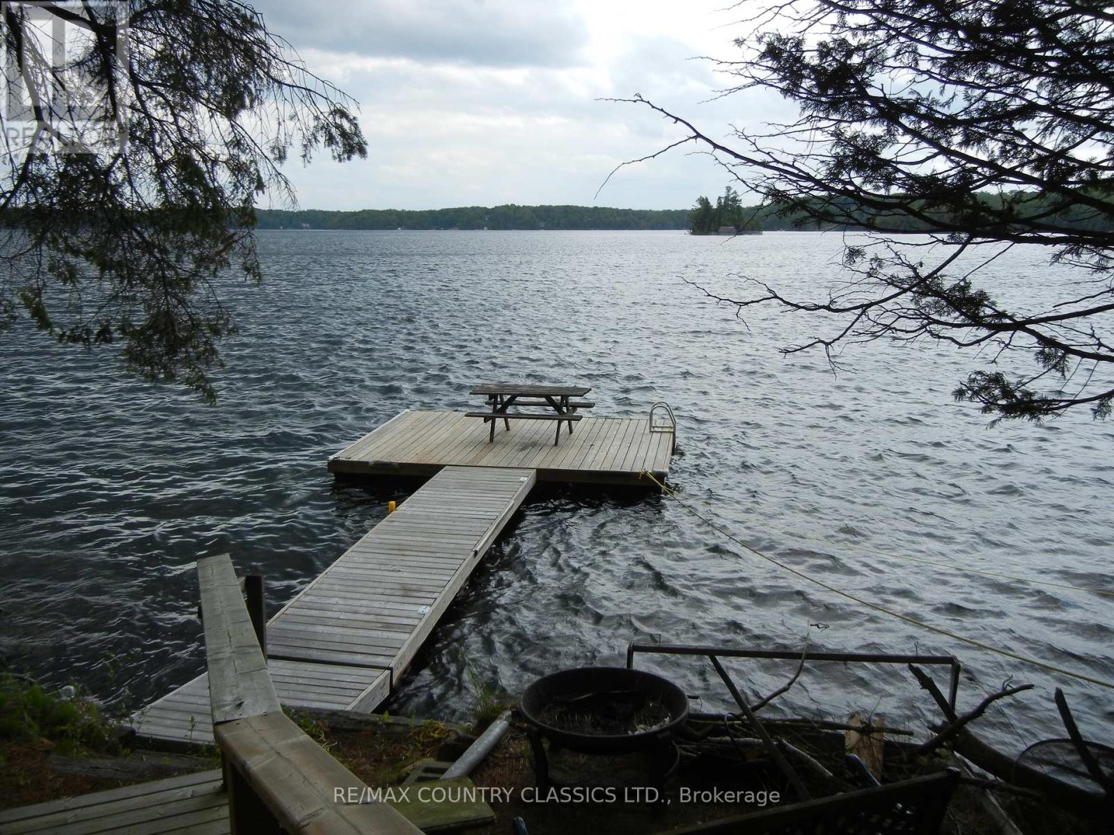 316 Trotter-Oitment Road, North Kawartha, Ontario  K0L 1A0 - Photo 6 - X12216685