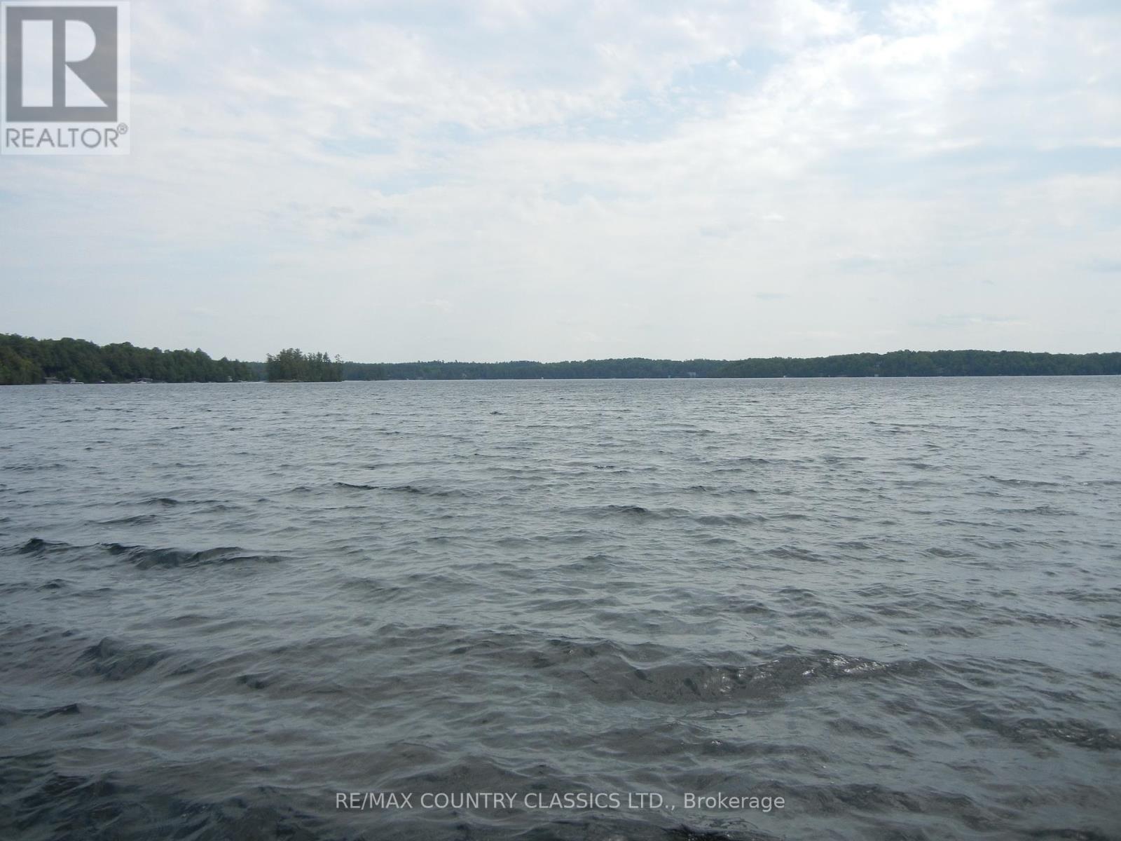 316 Trotter-Oitment Road, North Kawartha, Ontario  K0L 1A0 - Photo 8 - X12216685