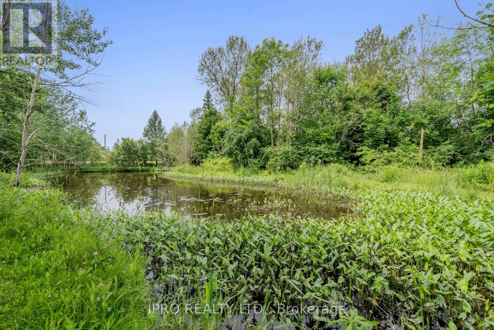 9206 Sideroad 17 Road, Erin, Ontario  N0B 1Z0 - Photo 32 - X12216141