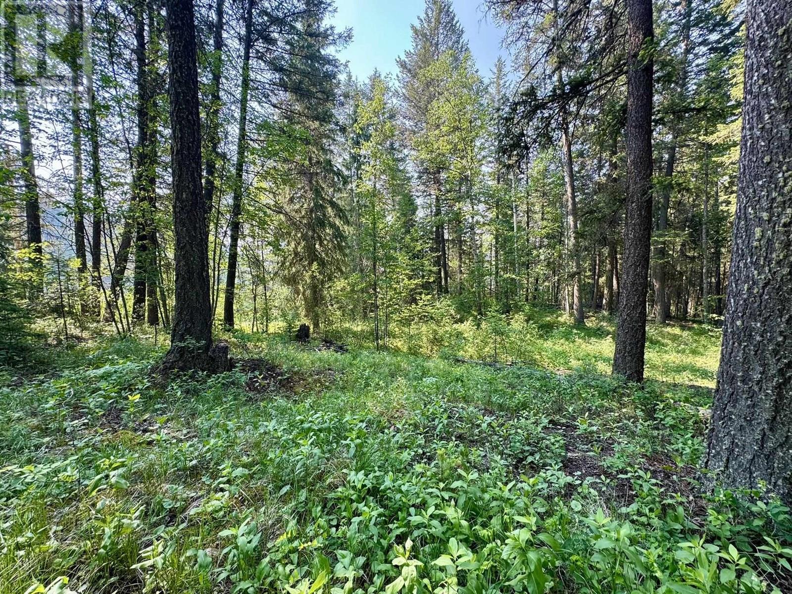 Lot 43 RAINBOW CRESCENT, Canim Lake, British Columbia