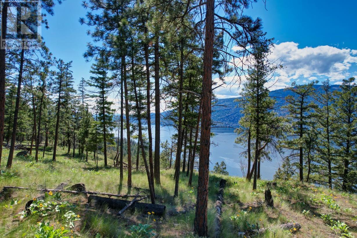 3018 Shayler Road, Kelowna, British Columbia  V1V 2R1 - Photo 6 - 10351972
