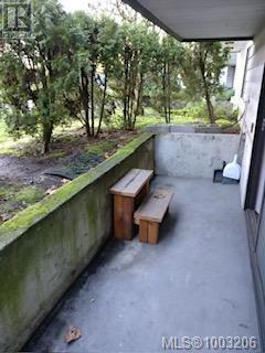 111 900 Tolmie Ave, Victoria, British Columbia  V8X 3W6 - Photo 14 - 1003206
