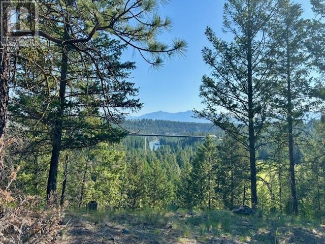 136 Plateau Place, Cranbrook, British Columbia V1C 0C6 - Photo 2 - 10351053