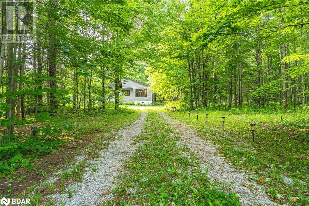 7390 Sadowa Road, Kawartha Lakes, Ontario  L0K 1W0 - Photo 22 - 40740293