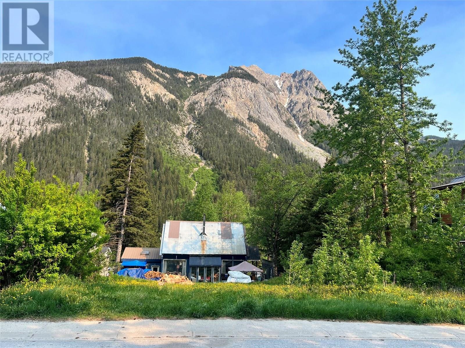 209 Kicking Horse Avenue, Field, British Columbia